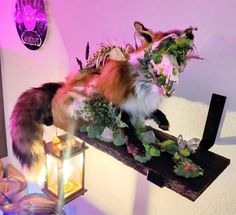 a stuffed fox sitting on top of a wooden table next to a lantern and flowers