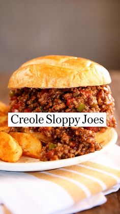 a sloppy joe sandwich on a plate next to some french fries and potato wedges