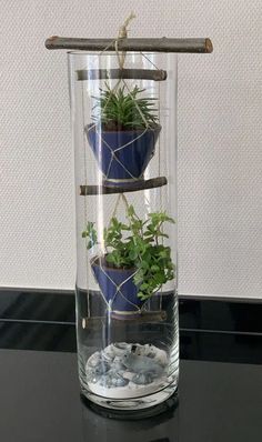 three planters are in a glass vase with rocks and water on the table top