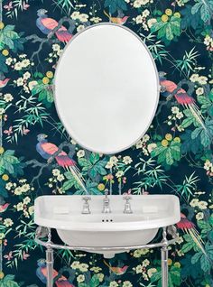 a bathroom sink sitting under a mirror next to a wall mounted faucet with birds on it