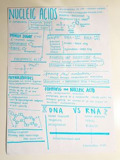 a sheet of paper with information about nuclectic acids written in blue ink