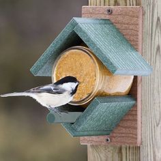 a bird is eating out of a jar that is on a wooden post with the word duncrat free shipping above it