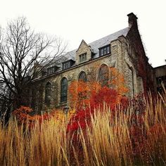 an old stone building surrounded by tall grass and trees with red leaves on it's branches