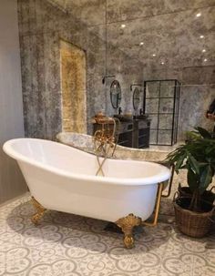 a bathroom with a bathtub, mirror and plant in it's center area