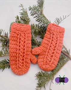 two knitted mittens sitting on top of a pine tree branch with needles in the foreground