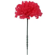 Add elegance with Elegant Fuchsia Carnation Picks. 100 picks per order, featuring 5" stems and 3.5" silk flower heads. Perfect for weddings, decorations, and DIY decor projects. Discover their beauty now! Faux Florals