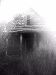 an old run down house in the middle of some tall grass and trees with light coming from behind it