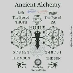 an ancient alchemy poster with the eye of horus