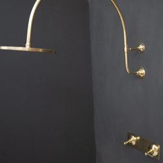 the shower head is gold in color and it has two handles on each side,