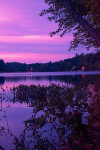 a purple sky is reflected in the still water of a lake with trees around it