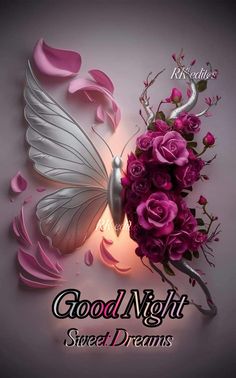 good night sweet dreams with pink roses and butterfly on grey background for valentine's day