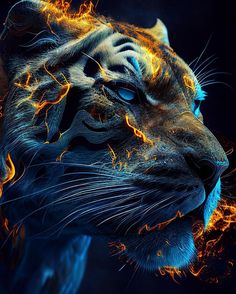 a close up of a tiger's face on fire