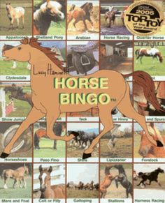 an image of horse bingo game with horses