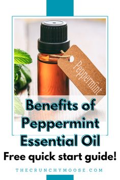 Free Quick Start Guide to Peppermint Essential Oil. What are the benefits of peppermint essential oil? Learn how to use peppermint essential oil for digestion, stomach, breathing, focus, muscles, cooling, and more. DIY recipes with peppermint essential oil for skin, hair, health, and teeth. Essential Oil For Digestion, Peppermint Essential Oil Recipes, Benefits Of Peppermint Essential Oil, Benefits Of Peppermint, Essential Oil For Skin, Peppermint Oil Benefits, Diy Hair Spray, Homemade Mouthwash, Homemade Toothpaste