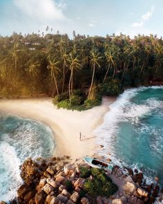 an aerial view of a beach and ocean with palm trees in the background, taken from above