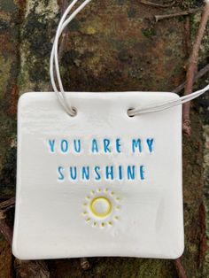 you are my sunshine ornament hanging on a tree