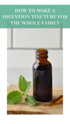 This digestion tincture is by far the most used tincture in my home remedy cabinet. It’s simple to make, but effective against lots of digestive issues. If you’re dealing with bloating, IBS, or just need digestive support, then read on in this post. Tummy Ache, Digestive Issues, Natural Cold Remedies, Morning Sickness, Homeopathic Remedies, Chronic Condition, Unhealthy Food, Medicinal Plants