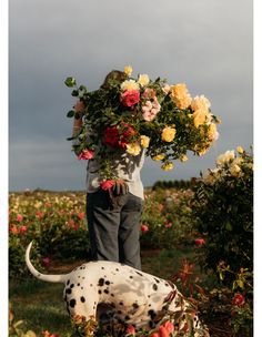 a woman holding flowers next to a dalmatian