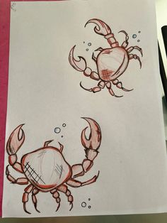 two drawings of crabs on paper with pencils