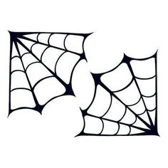 a spider web on a white background