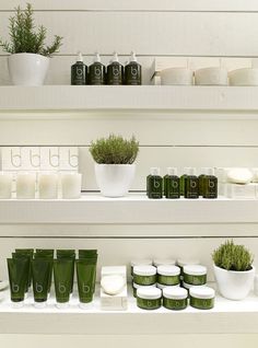 the shelves are filled with different types of products and plants in white containers on them