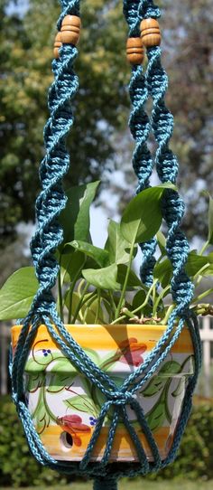 a potted plant hanging from a blue rope