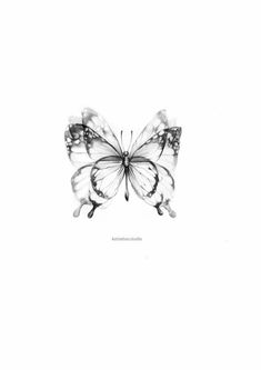 a black and white photo of a butterfly on a white background with the words,