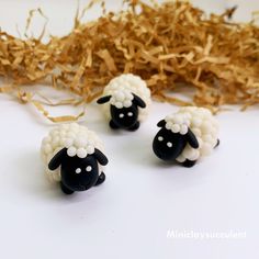 three small black and white sheep sitting on top of some grass next to dried straw