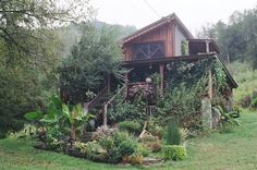 a house in the middle of a lush green field