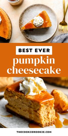 the best ever pumpkin cheesecake recipe