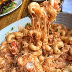 a plate full of pasta being lifted with a fork