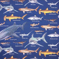 a blue background with various types of sharks and other marine animals on it's sides