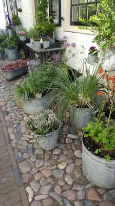 several potted plants are sitting on the side of a building with cobblestone flooring