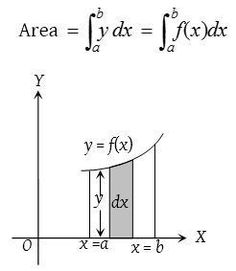 an area is shown with the slope and y intercept