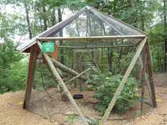 a bird cage in the middle of a forest filled with trees and plants on top of dirt