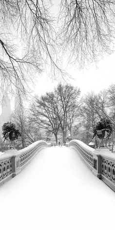 a snow covered bridge with trees in the background