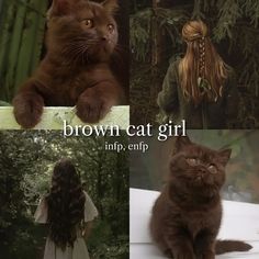 brown cat girl, cr. on tik tok. NOT MINE! #mbtiaesthetic #infp #enfp #fall Intp 5w6, Infp Personality Type, Beautiful Aesthetic, Brown Cat, Relatable Stuff, Personality Type, Intp