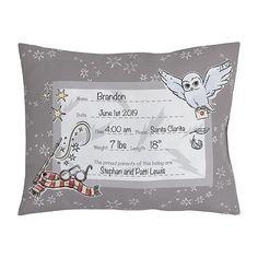 a pillow that has an owl on it and stars around the edges, with a birth certificate