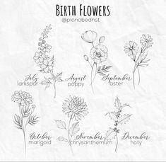 the different types of flowers are shown in this graphic style, and each flower has its own name on it