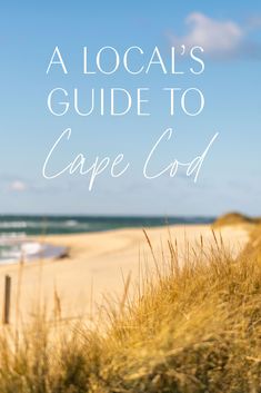 a beach with grass and the words a local's guide to cape god on it