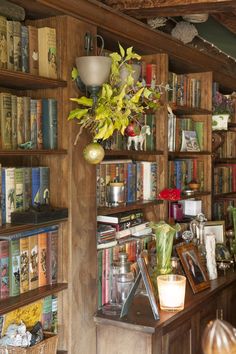 a bookshelf filled with lots of books and plants