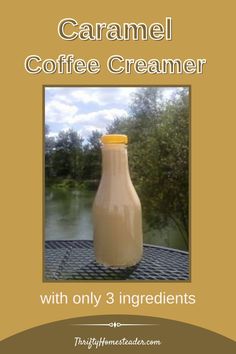 an advertisement for caramel coffee creamer with only 3 ingredients on the front cover