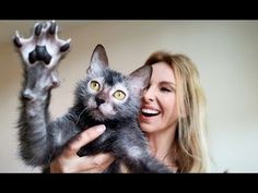 a woman holding a cat up to the camera