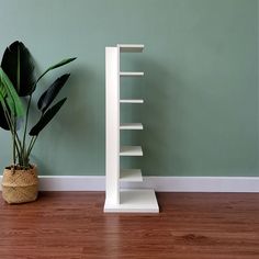 a plant in a pot next to a white shelf on the floor near a green wall