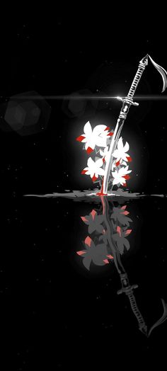 a black and white photo with red flowers on it's reflection in the water