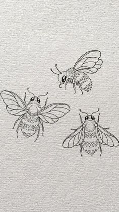 three bees drawn in ink on white paper