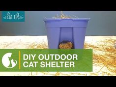 a blue bucket with hay in it sitting next to a sign that says diy outdoor cat shelter