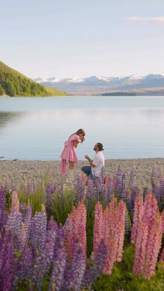 two people sitting on the shore of a lake with purple flowers in front of them