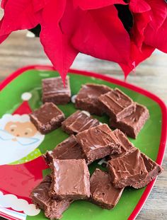 chocolate pieces on a green plate with red flowers in the background and a pink flower