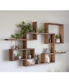 several wooden shelves with plants and rocks in them on the wall next to each other